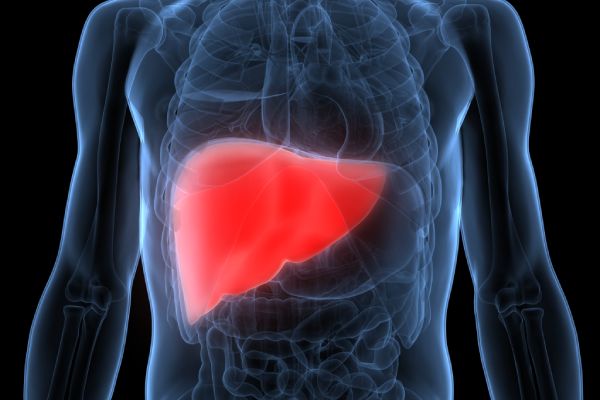 Liver and Gallbladder Ultrasound Scan