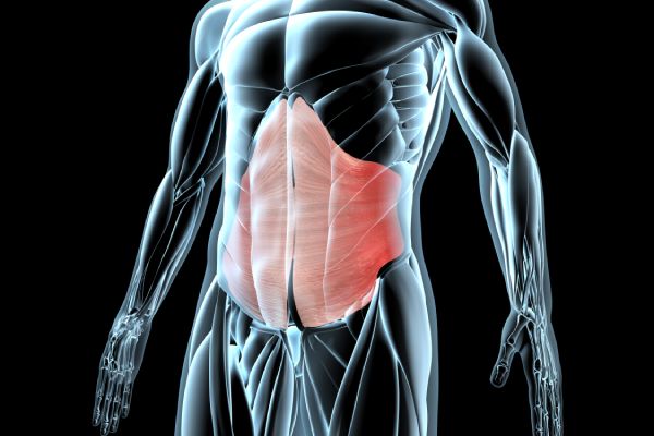 Abdominal and Urinary Tract