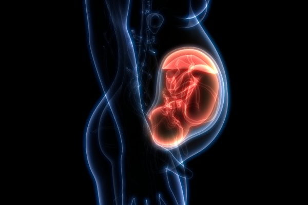 Dating Scan: 8-22 weeks